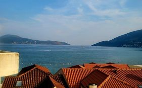 Apartmani M